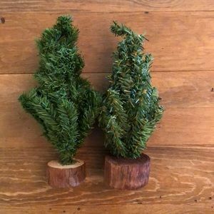 Mini Christmas trees